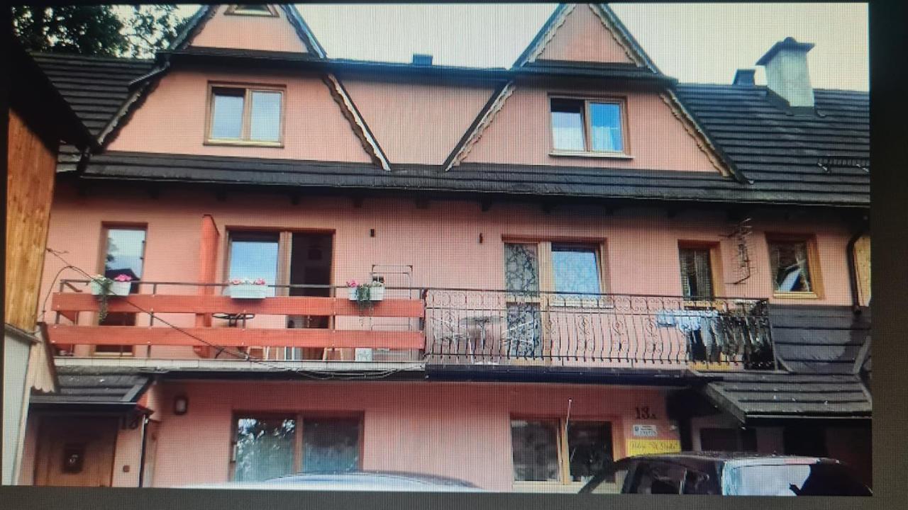 Domek Samki Zakopane Exteriör bild